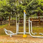Mosorny Park Caloroczne W Gorach *